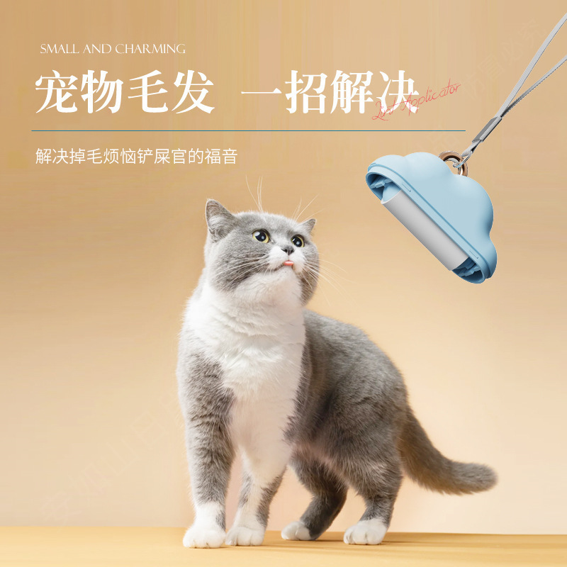 가정용 클라우드 테어러블 헤어 스티커, 휴대용 의류 스 - Dust Removal Sticker 리뷰 및 가격
